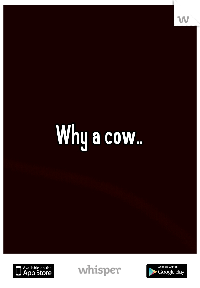 Why a cow..