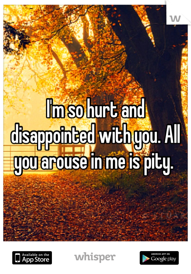 I'm so hurt and disappointed with you. All you arouse in me is pity. 