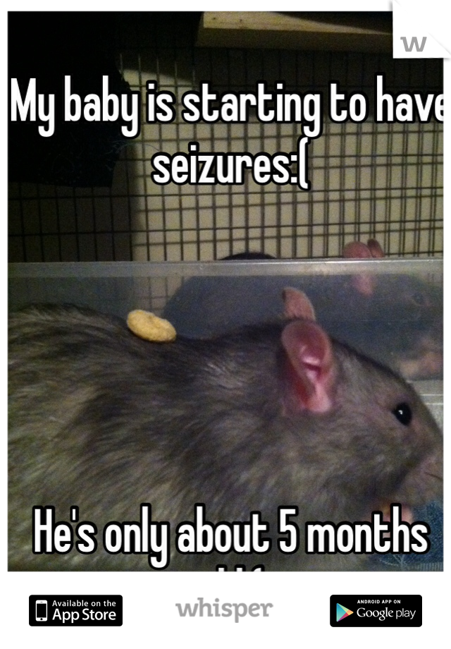 My baby is starting to have seizures:(





He's only about 5 months old:(