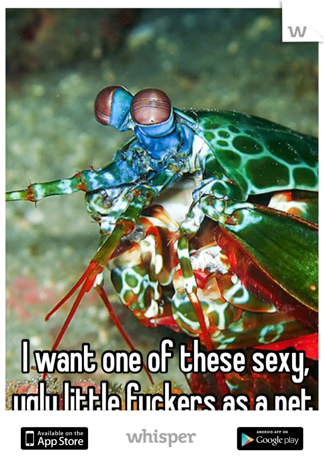 I want one of these sexy, ugly little fuckers as a pet.