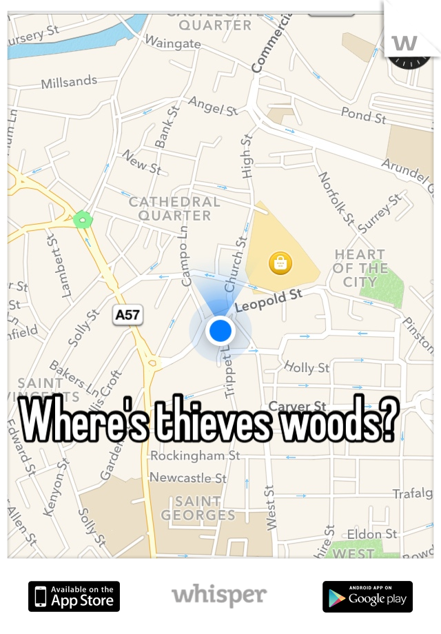 Where's thieves woods? 