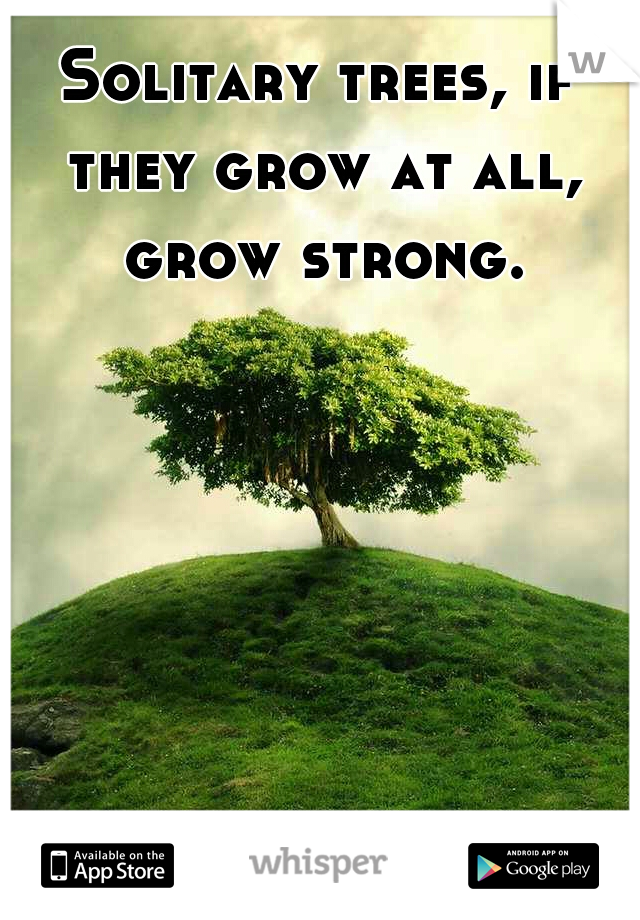Solitary trees, if they grow at all, grow strong.