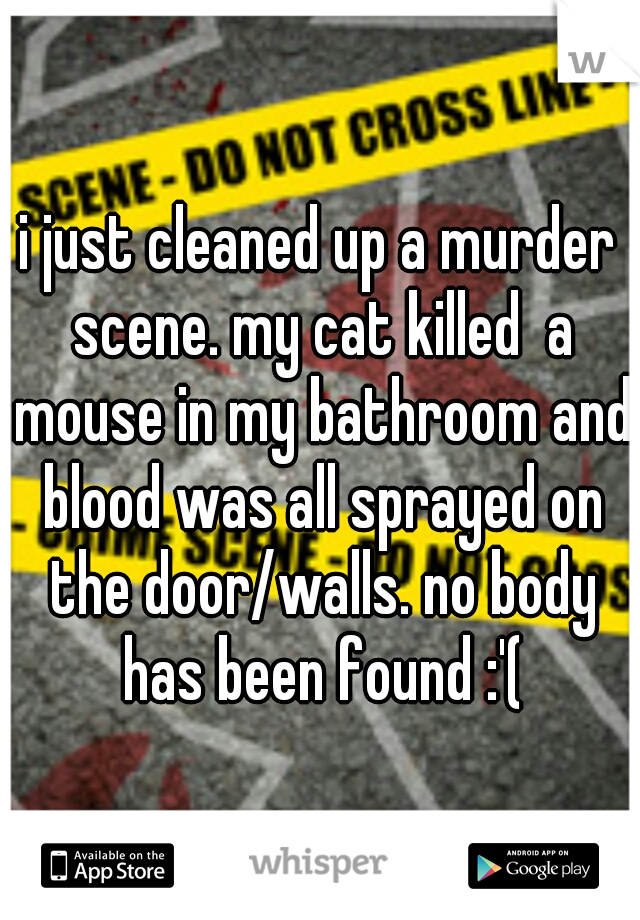 i just cleaned up a murder scene. my cat killed  a mouse in my bathroom and blood was all sprayed on the door/walls. no body has been found :'(
