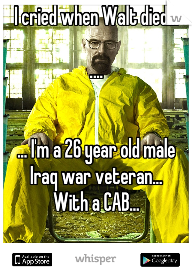 I cried when Walt died...

....


... I'm a 26 year old male
Iraq war veteran...
With a CAB... 

FML...