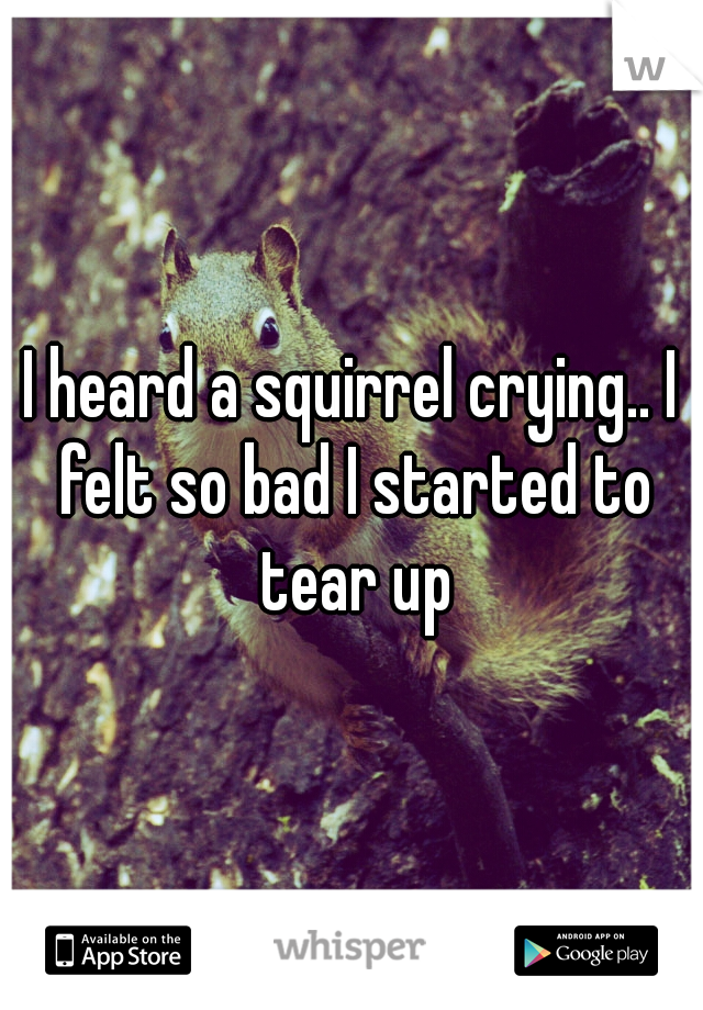 I heard a squirrel crying.. I felt so bad I started to tear up