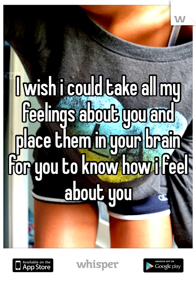 I wish i could take all my feelings about you and place them in your brain for you to know how i feel about you 