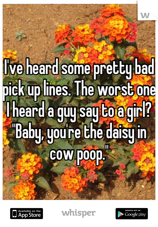 I've heard some pretty bad pick up lines. The worst one I heard a guy say to a girl? "Baby, you're the daisy in cow poop."