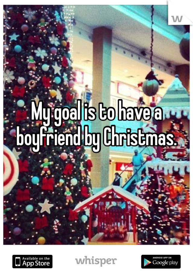 My goal is to have a boyfriend by Christmas.

