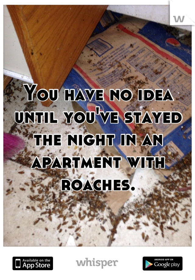 You have no idea until you've stayed the night in an apartment with roaches.