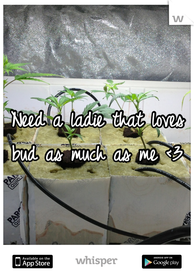 Need a ladie that loves bud as much as me <3