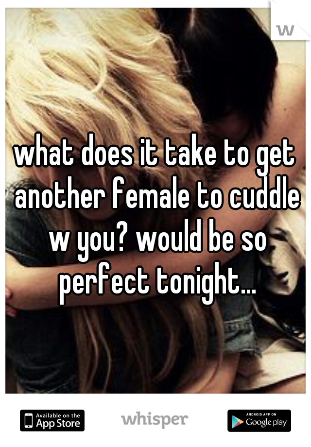 what does it take to get another female to cuddle w you? would be so perfect tonight...
