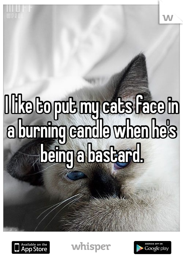 I like to put my cats face in a burning candle when he's being a bastard.