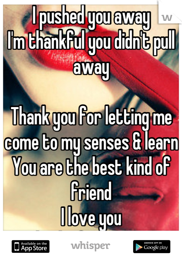 I pushed you away
I'm thankful you didn't pull away 

Thank you for letting me come to my senses & learn
You are the best kind of friend
I love you
Thanks for staying 