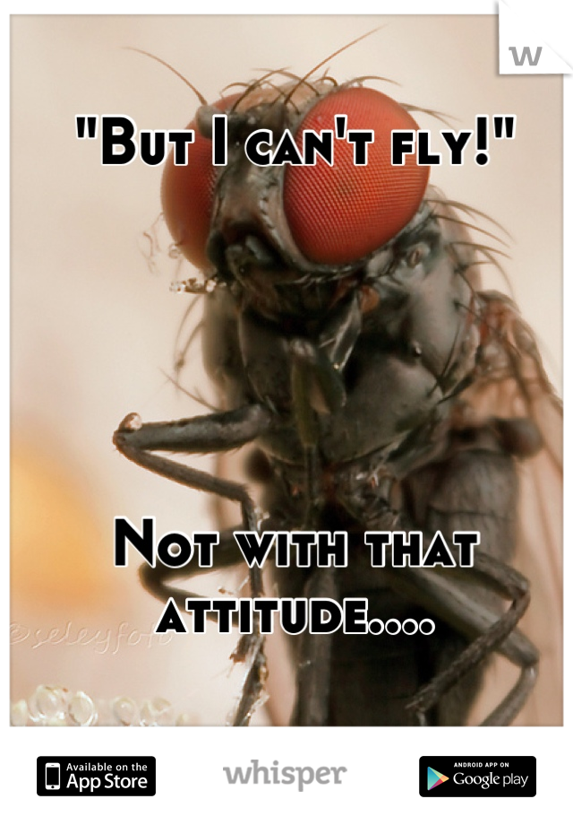 "But I can't fly!"





Not with that attitude....