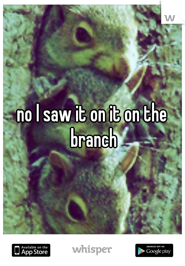 no I saw it on it on the branch