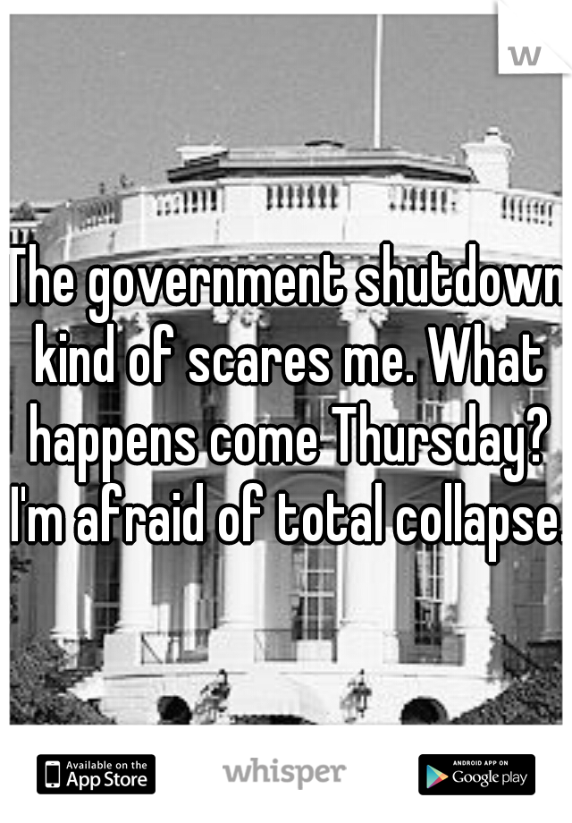 The government shutdown kind of scares me. What happens come Thursday? I'm afraid of total collapse.