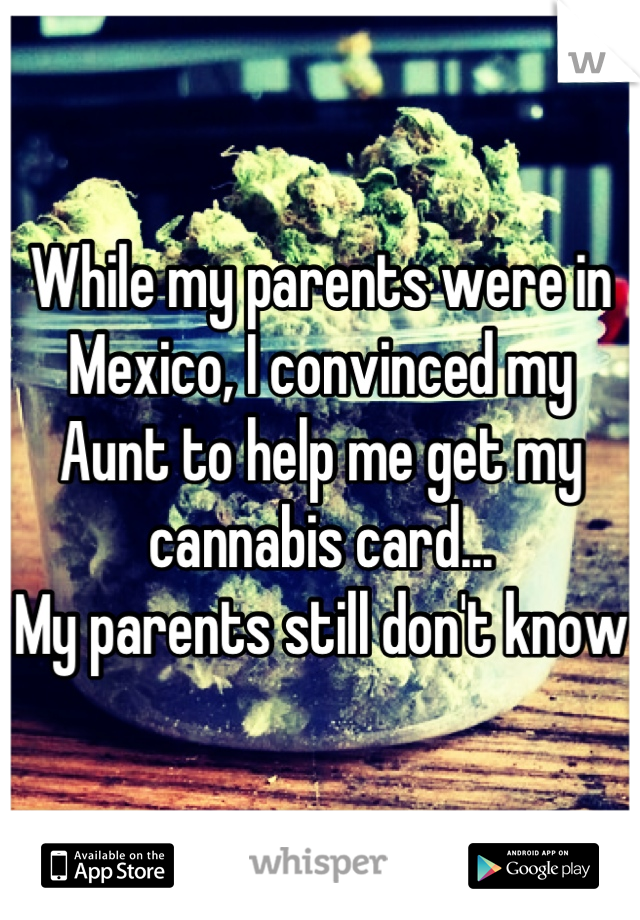While my parents were in Mexico, I convinced my Aunt to help me get my cannabis card...
My parents still don't know