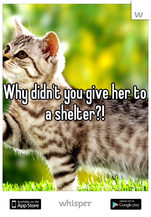 Why didn't you give her to a shelter?! 