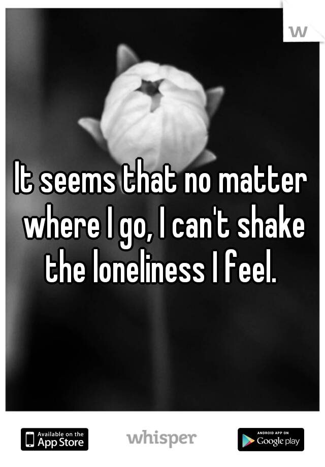 It seems that no matter where I go, I can't shake the loneliness I feel. 