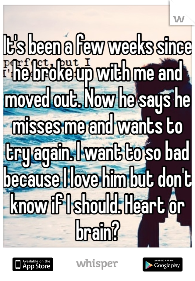 It's been a few weeks since he broke up with me and moved out. Now he says he misses me and wants to try again. I want to so bad because I love him but don't know if I should. Heart or brain?