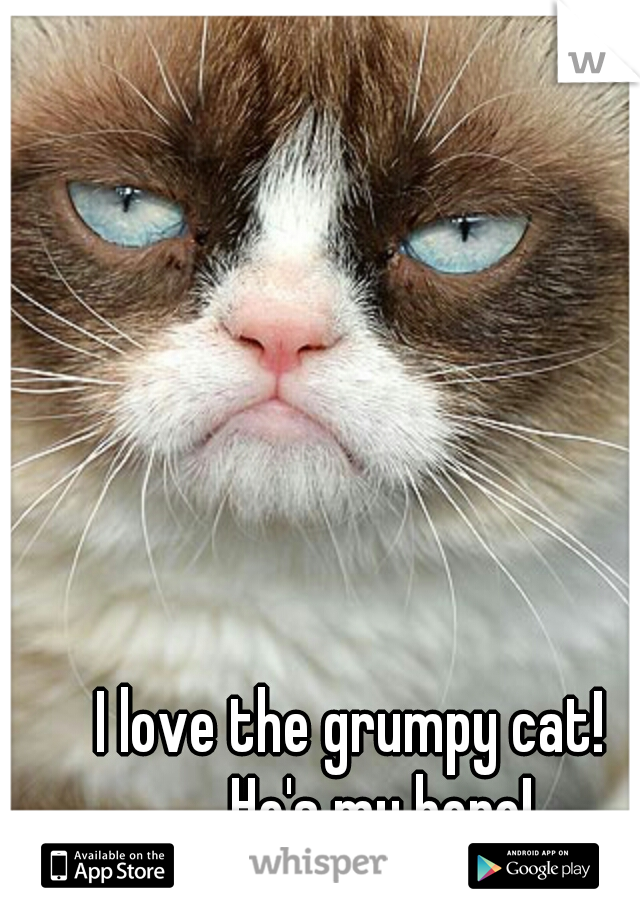 I love the grumpy cat!     He's my hero!