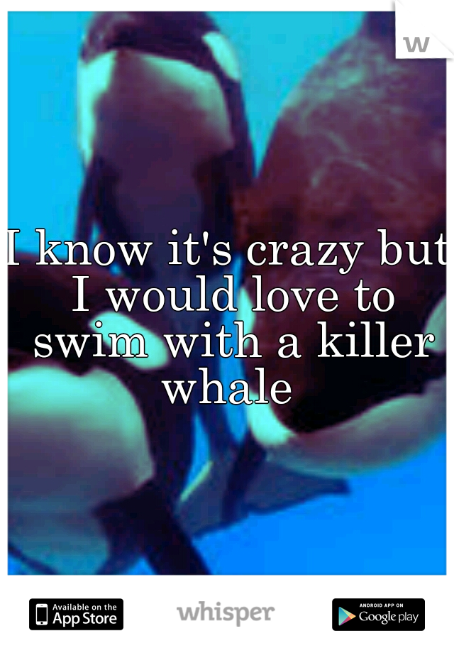 I know it's crazy but I would love to swim with a killer whale 