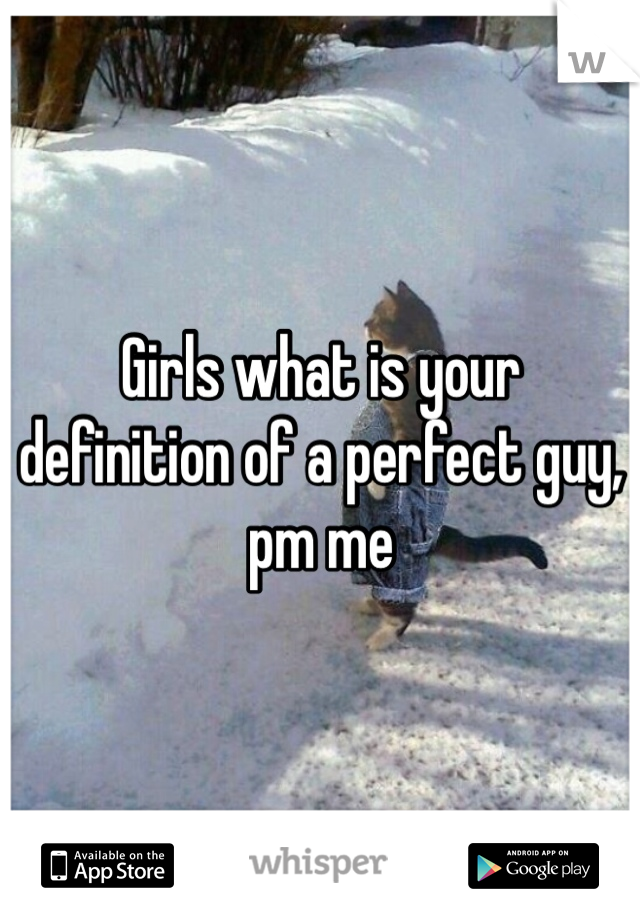 Girls what is your definition of a perfect guy, pm me