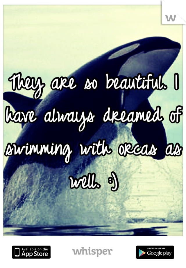 They are so beautiful. I have always dreamed of swimming with orcas as well. :)