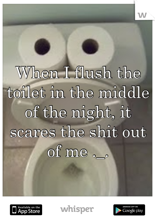 When I flush the toilet in the middle of the night, it scares the shit out of me ._.