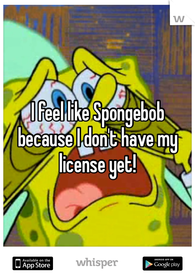 I feel like Spongebob because I don't have my license yet!