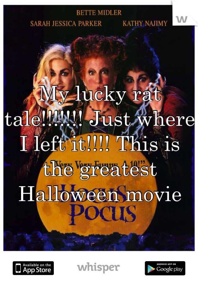My lucky rat tale!!!!!!! Just where I left it!!!! This is the greatest Halloween movie 