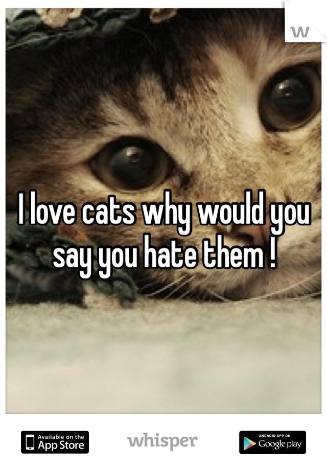 I love cats why would you say you hate them ! 