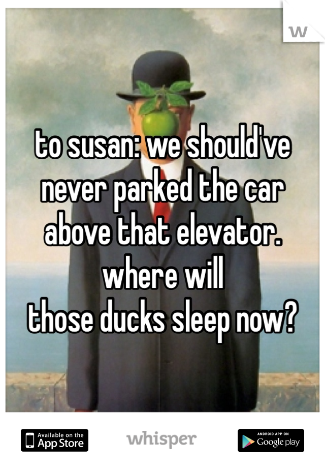 to susan: we should've
never parked the car
above that elevator. where will
those ducks sleep now?