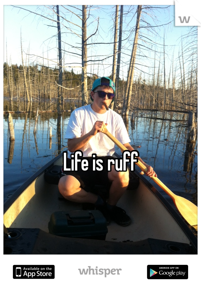Life is ruff