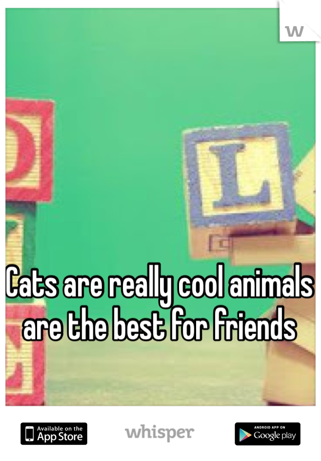 Cats are really cool animals are the best for friends