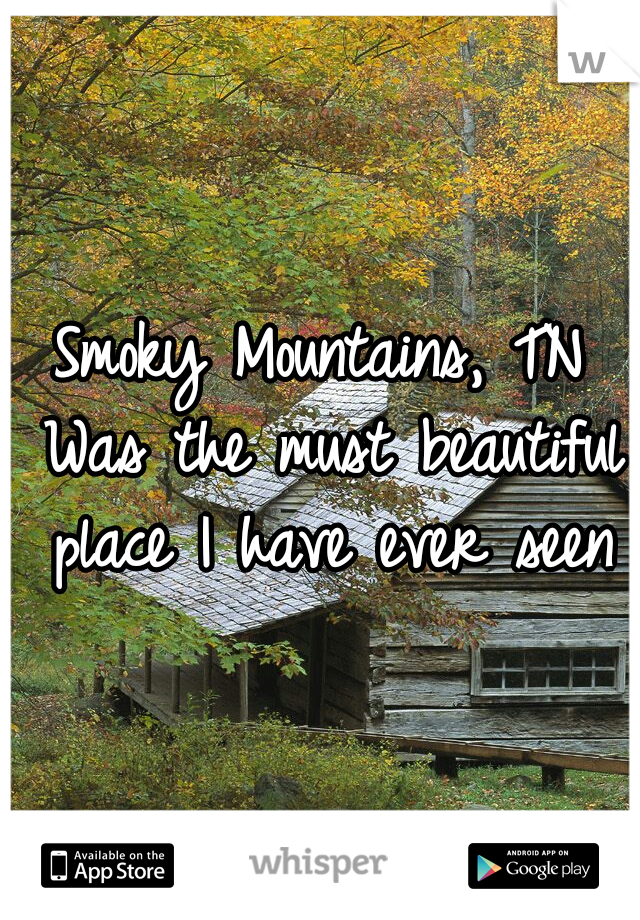 Smoky Mountains, TN Was the must beautiful place I have ever seen