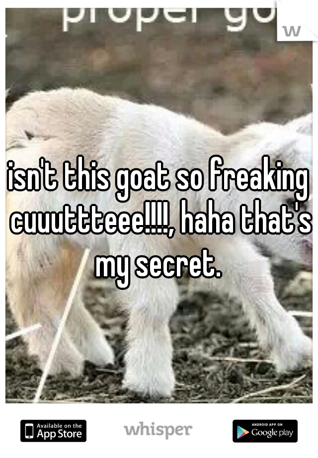 isn't this goat so freaking cuuuttteee!!!!, haha that's my secret. 
