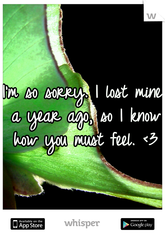 I'm so sorry. I lost mine a year ago, so I know how you must feel. <3