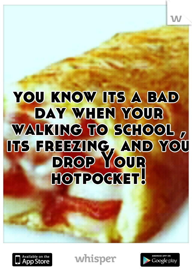 you know its a bad day when your walking to school , its freezing, and you drop Your hotpocket!