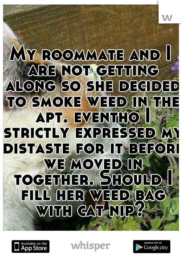 My roommate and I are not getting along so she decided to smoke weed in the apt. eventho I strictly expressed my distaste for it before we moved in together. Should I fill her weed bag with cat nip? 