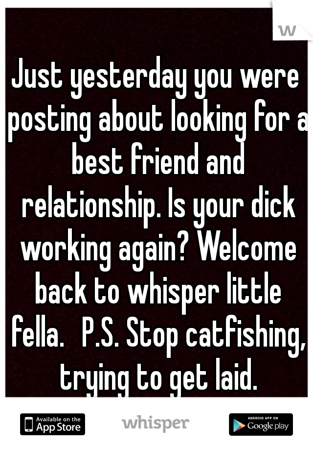 Just yesterday you were posting about looking for a best friend and relationship. Is your dick working again? Welcome back to whisper little fella. 
P.S. Stop catfishing, trying to get laid.