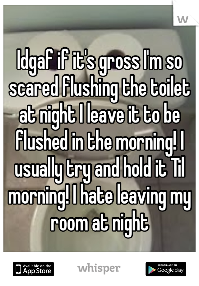 Idgaf if it's gross I'm so scared flushing the toilet at night I leave it to be flushed in the morning! I usually try and hold it Til morning! I hate leaving my room at night 