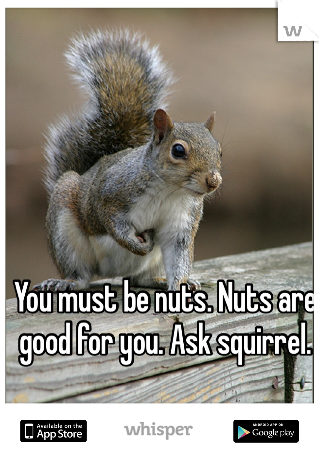 You must be nuts. Nuts are good for you. Ask squirrel.