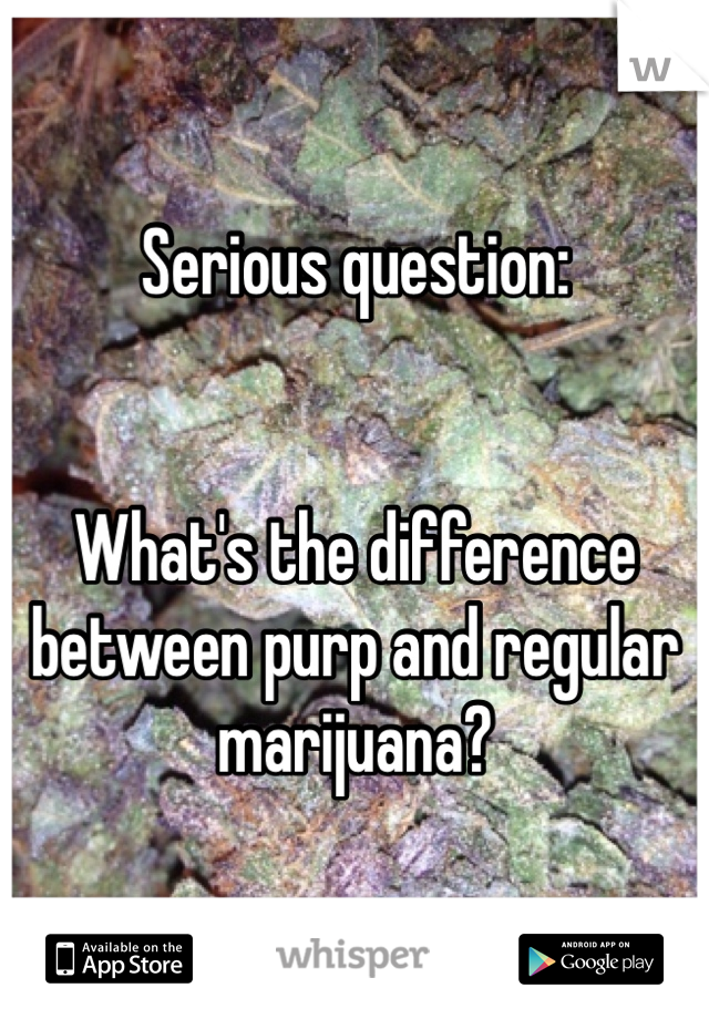 Serious question:


What's the difference between purp and regular marijuana?