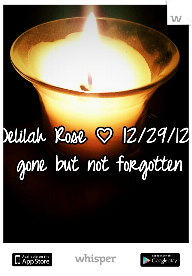 Delilah Rose ♡ 12/29/12 gone but not forgotten