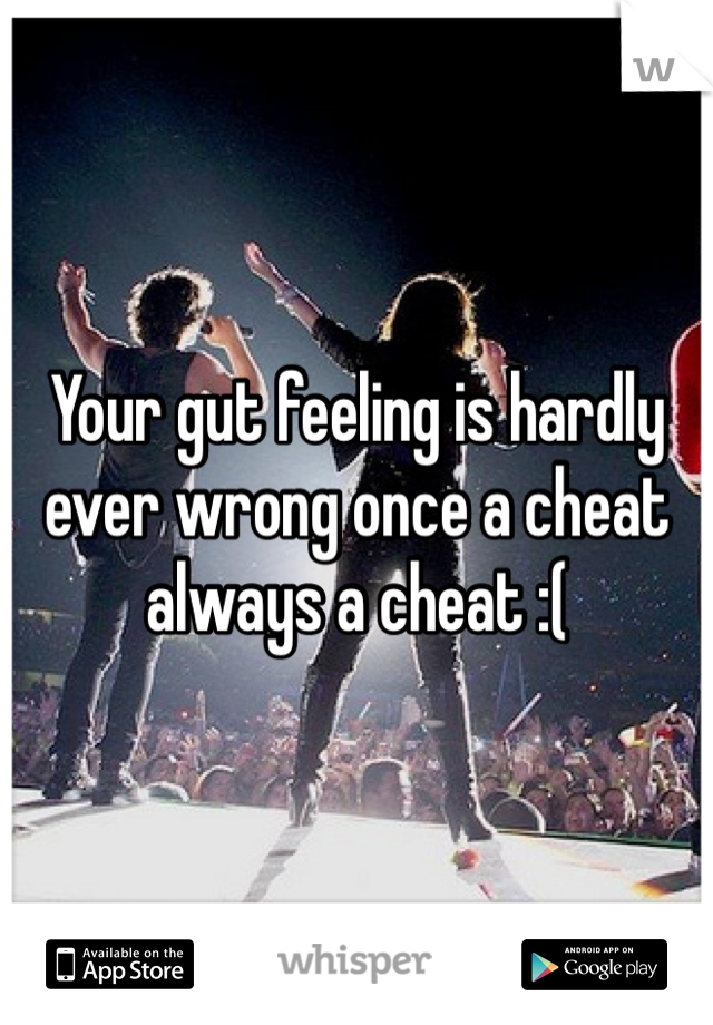 Your gut feeling is hardly ever wrong once a cheat always a cheat :(