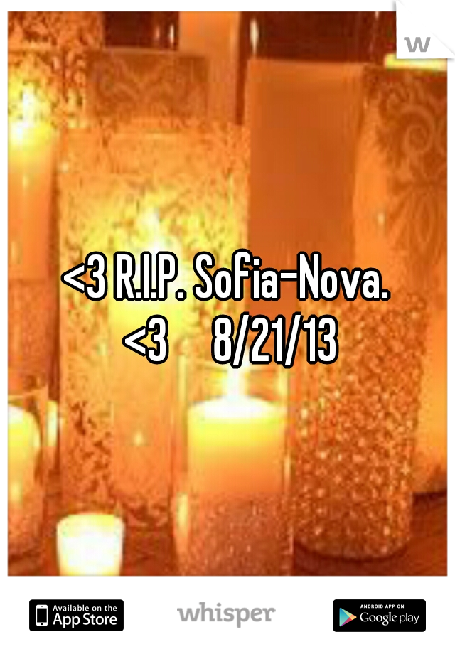 <3 R.I.P. Sofia-Nova. <3

8/21/13