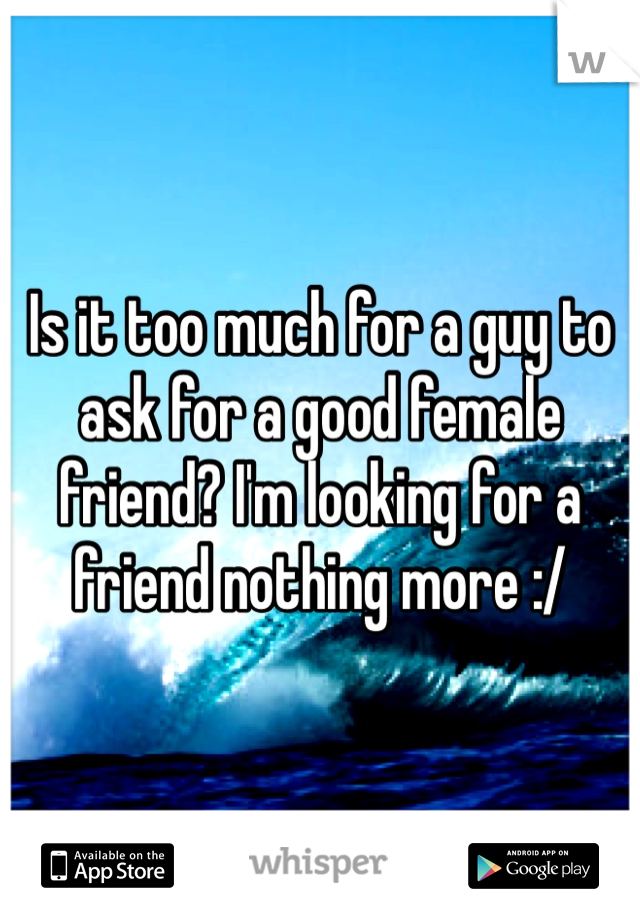 Is it too much for a guy to ask for a good female friend? I'm looking for a friend nothing more :/