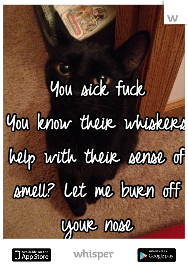 You sick fuck 
You know their whiskers help with their sense of smell? Let me burn off your nose 
Asshole. 