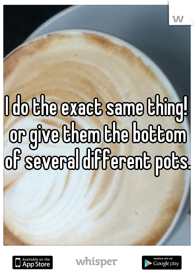 I do the exact same thing! or give them the bottom of several different pots.